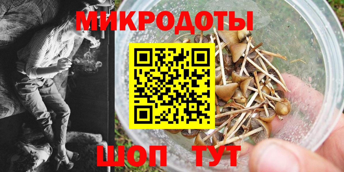 Псилоцибиновые грибы MAGIC MUSHROOMS Дубна