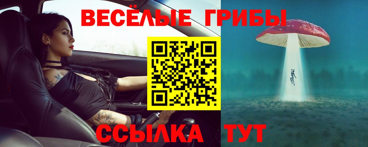 Дубна  дарнет шоп  Галлюциногенные грибы мухоморы  Вход с VPN  Галлюциногенные грибы ЛСД 